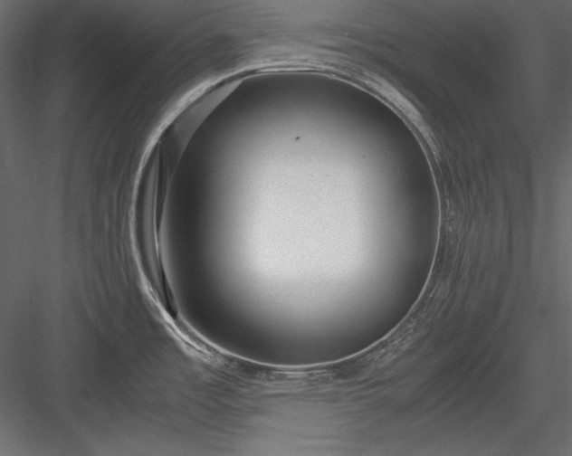X0000084001485200702232124