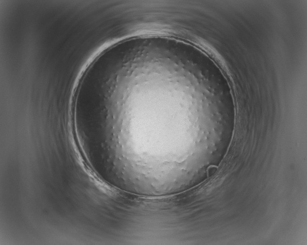 X0000084001488200702232124