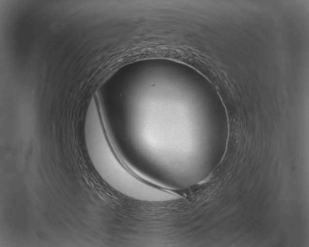 X0000084001489200702232123