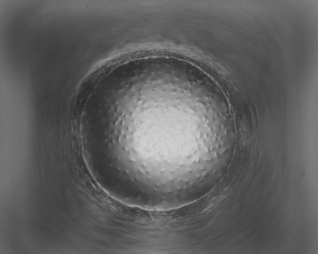 X0000084001494200702232123
