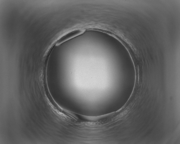 X0000084001500200702232124