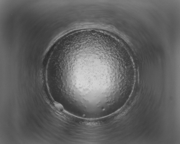 X0000084001501200702232124
