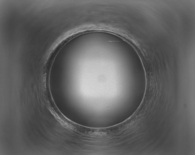 X0000084001503200702232124