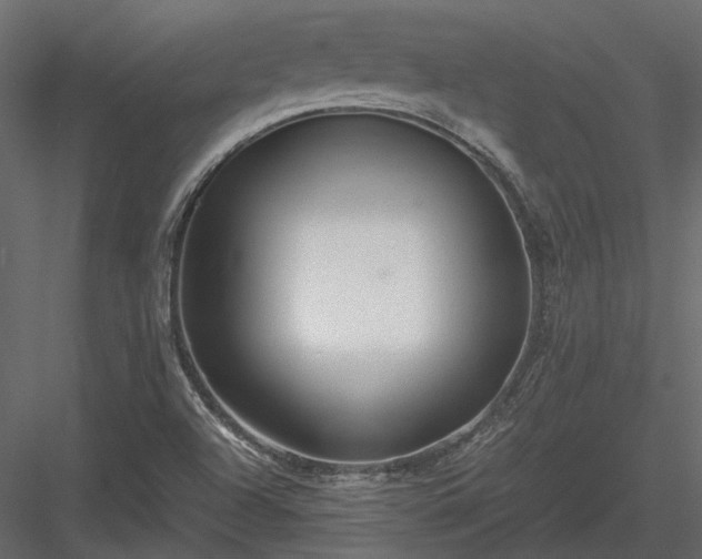 X0000084001504200702232124