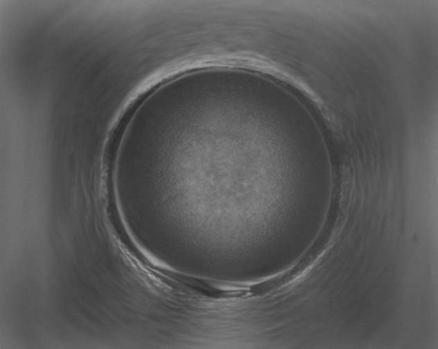 X0000084001506200702232124
