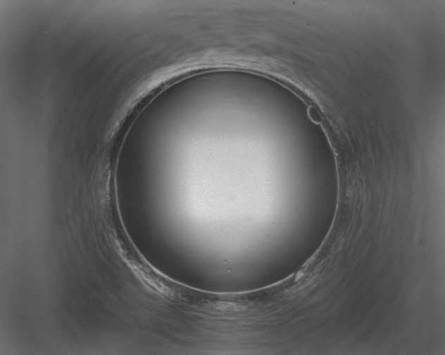 X0000084001507200702232124