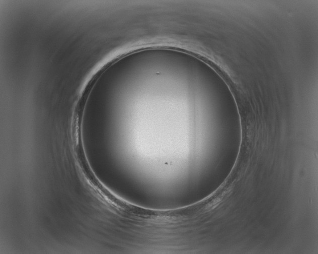 X0000084001510200702232124