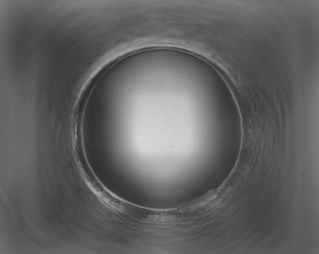 X0000084001511200702232124
