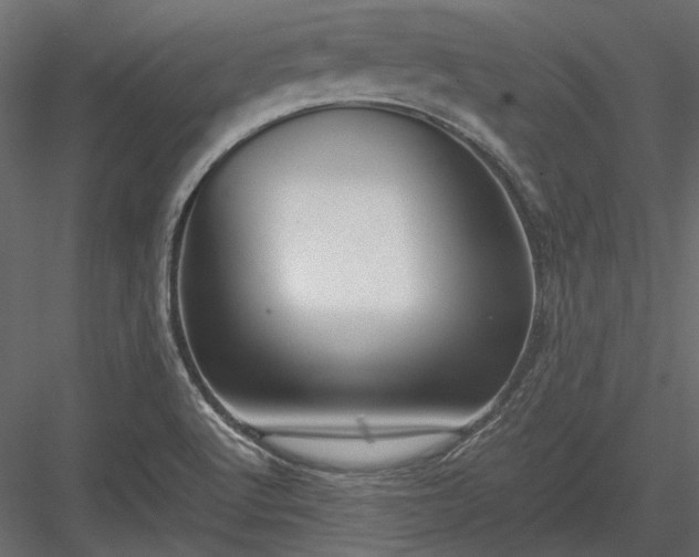 X0000084001512200702232124
