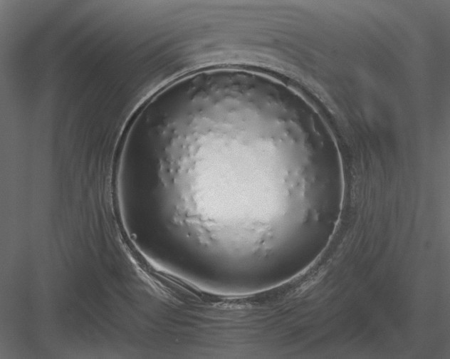 X0000084001513200702232124