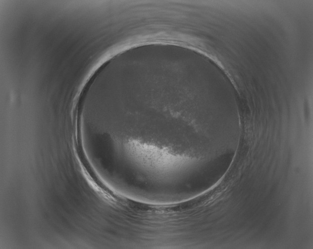 X0000084001515200702232124