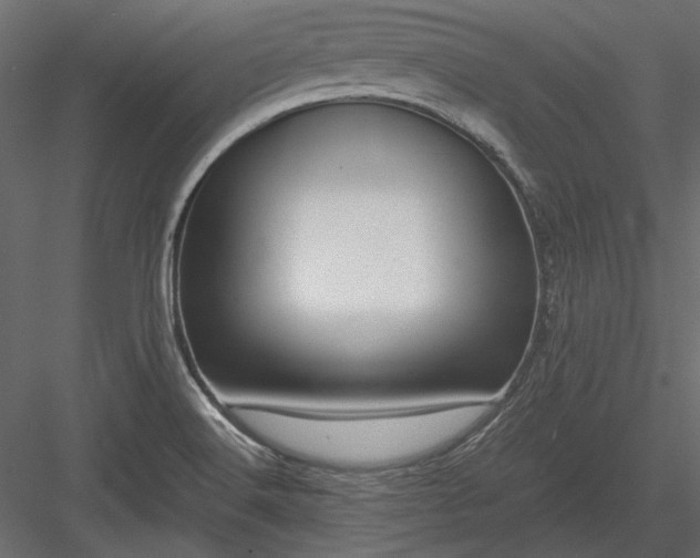 X0000084001516200702232124