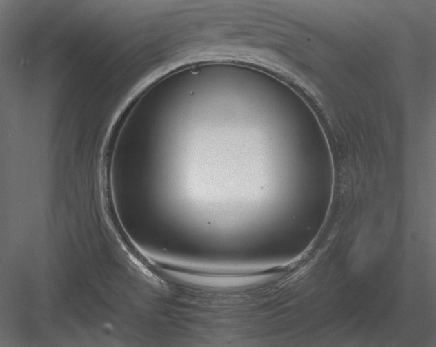X0000084001517200702232124