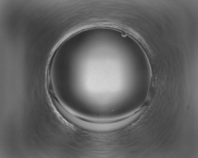X0000084001520200702232124