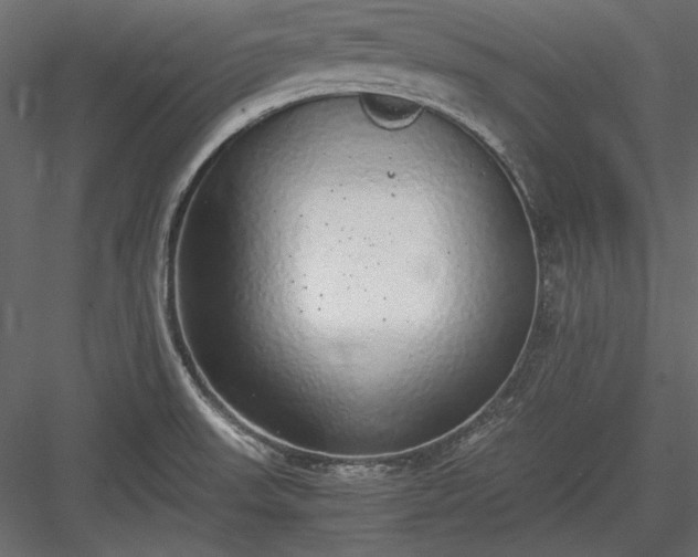 X0000084001523200702232124