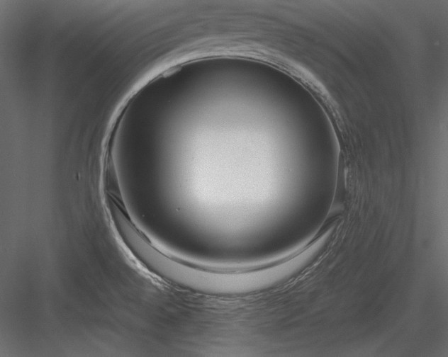 X0000084001528200702232124