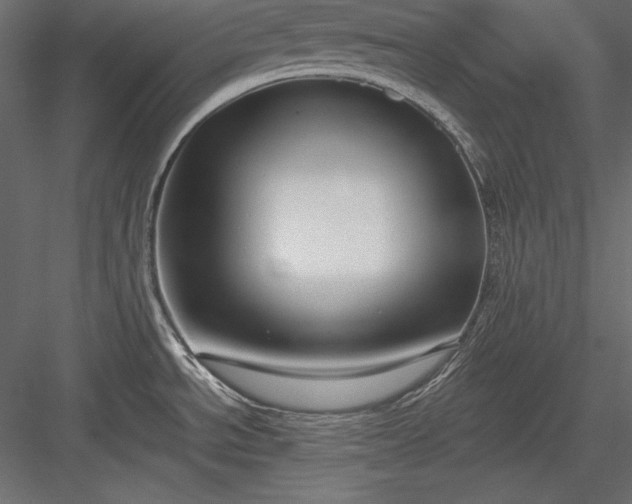 X0000084001534200702232124
