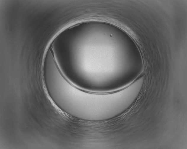 X0000084001536200702232124