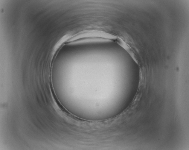 X0000084000003200703022017