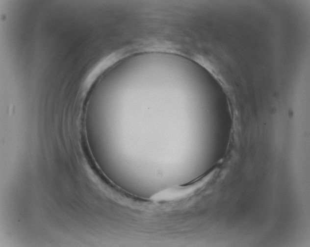 X0000084000007200703022017