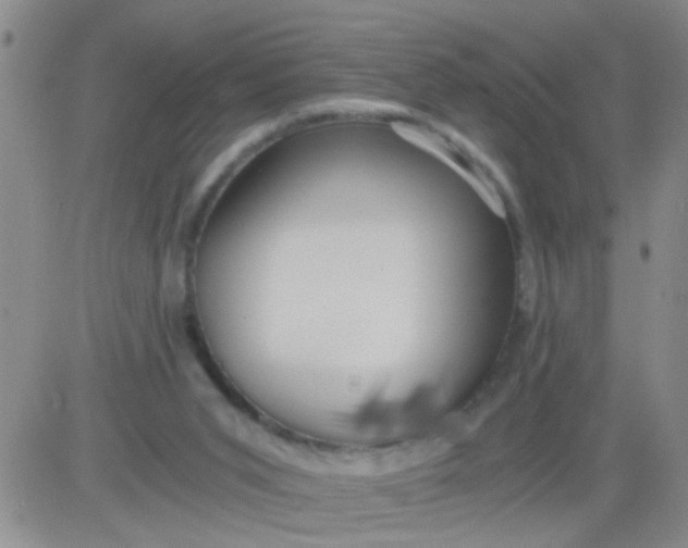 X0000084000015200703022017