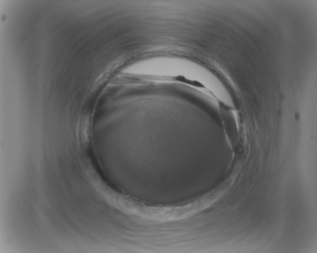 X0000084000023200703022017