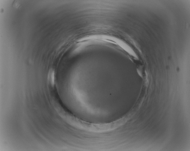 X0000084000027200703022017