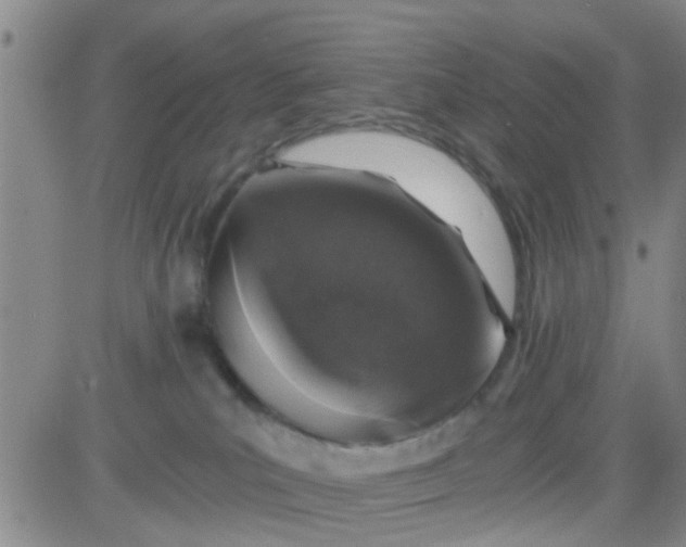 X0000084000039200703022017