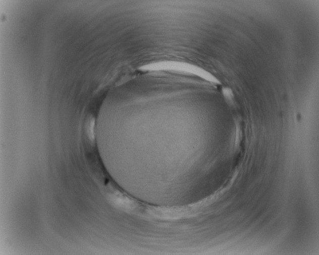 X0000084000041200703022017