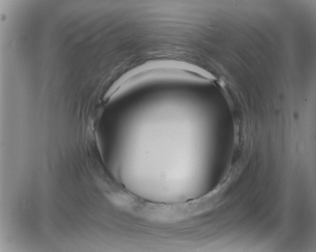 X0000084000045200703022017