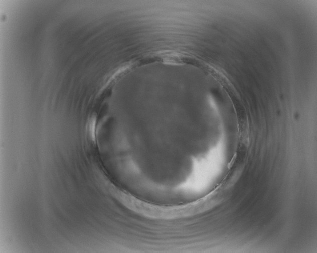 X0000084000047200703022016