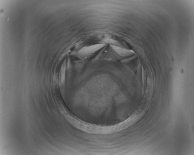 X0000084000048200703022016