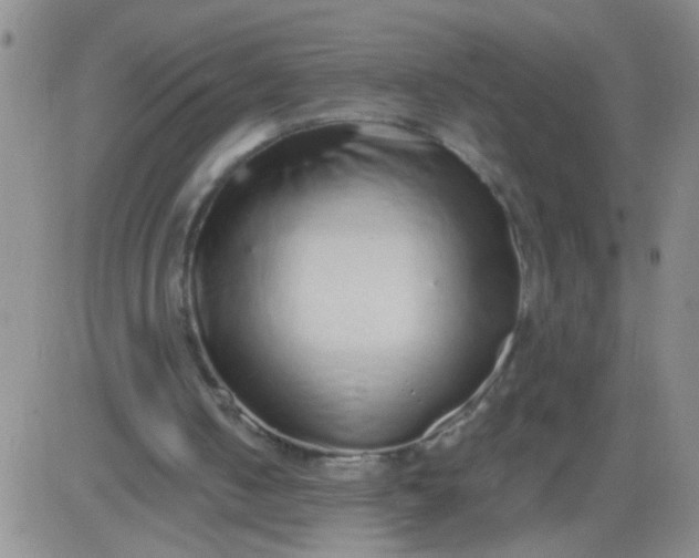 X0000084000050200703022016
