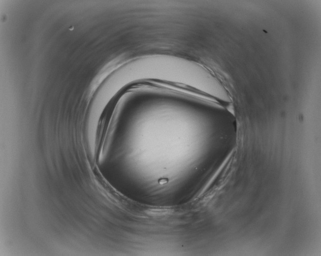 X0000084000051200703022016