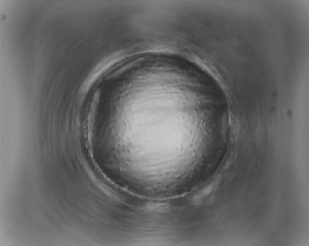 X0000084000055200703022016