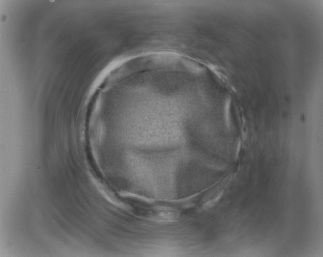 X0000084000056200703022016