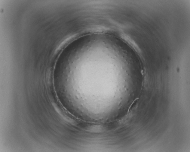 X0000084000058200703022016
