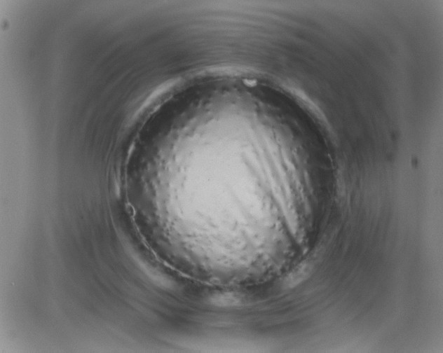 X0000084000062200703022016