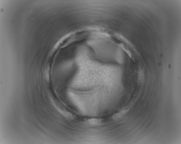X0000084000064200703022016