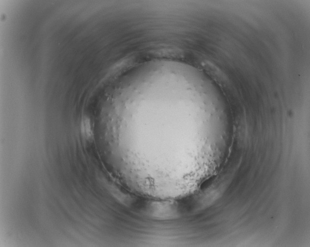X0000084000089200703022016