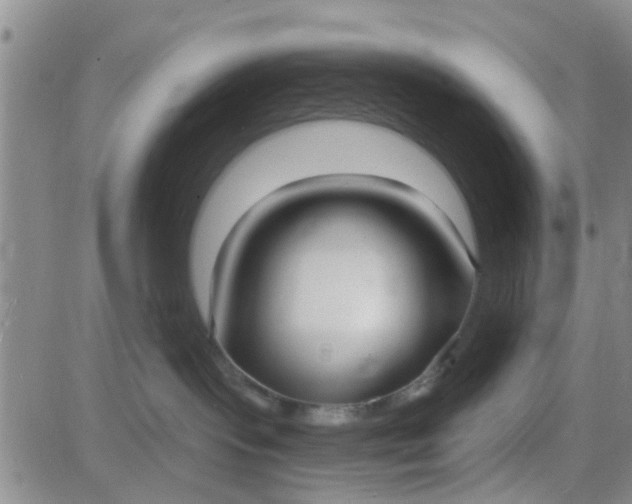 X0000084000095200703022016