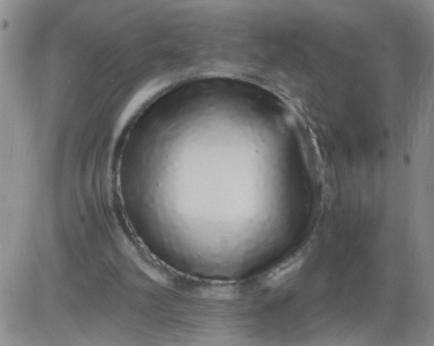 X0000084000102200703022016