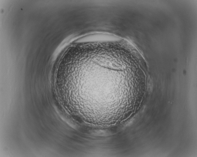 X0000084000151200703022014