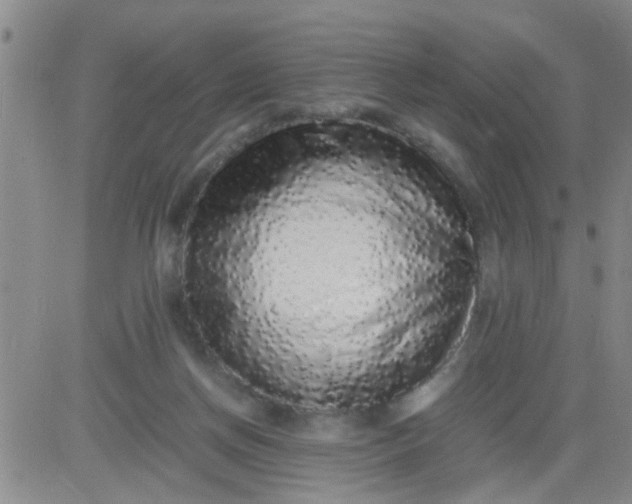 X0000084000166200703022014