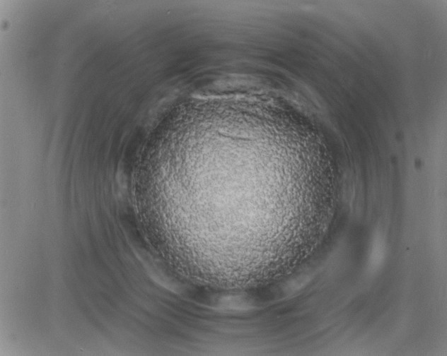 X0000084000173200703022015