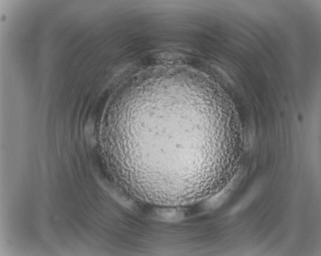 X0000084000187200703022015