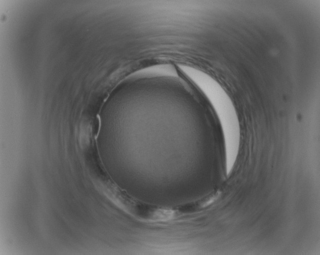 X0000084000227200703022014