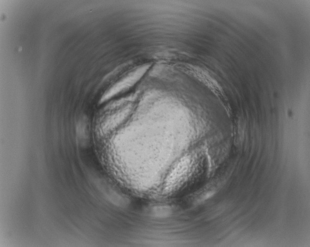 X0000084000228200703022013