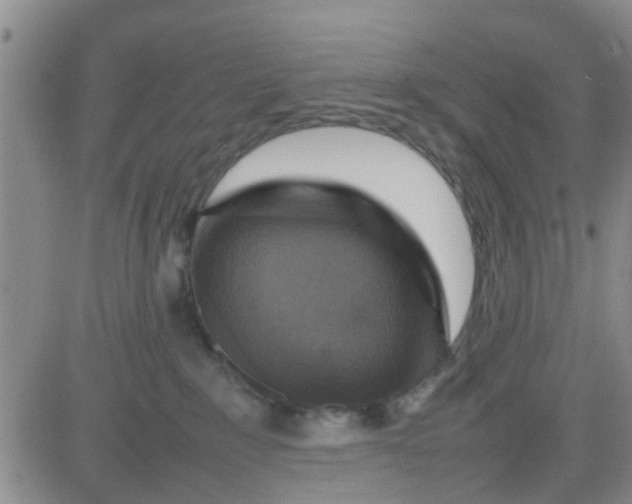 X0000084000235200703022013