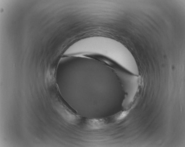 X0000084000239200703022013